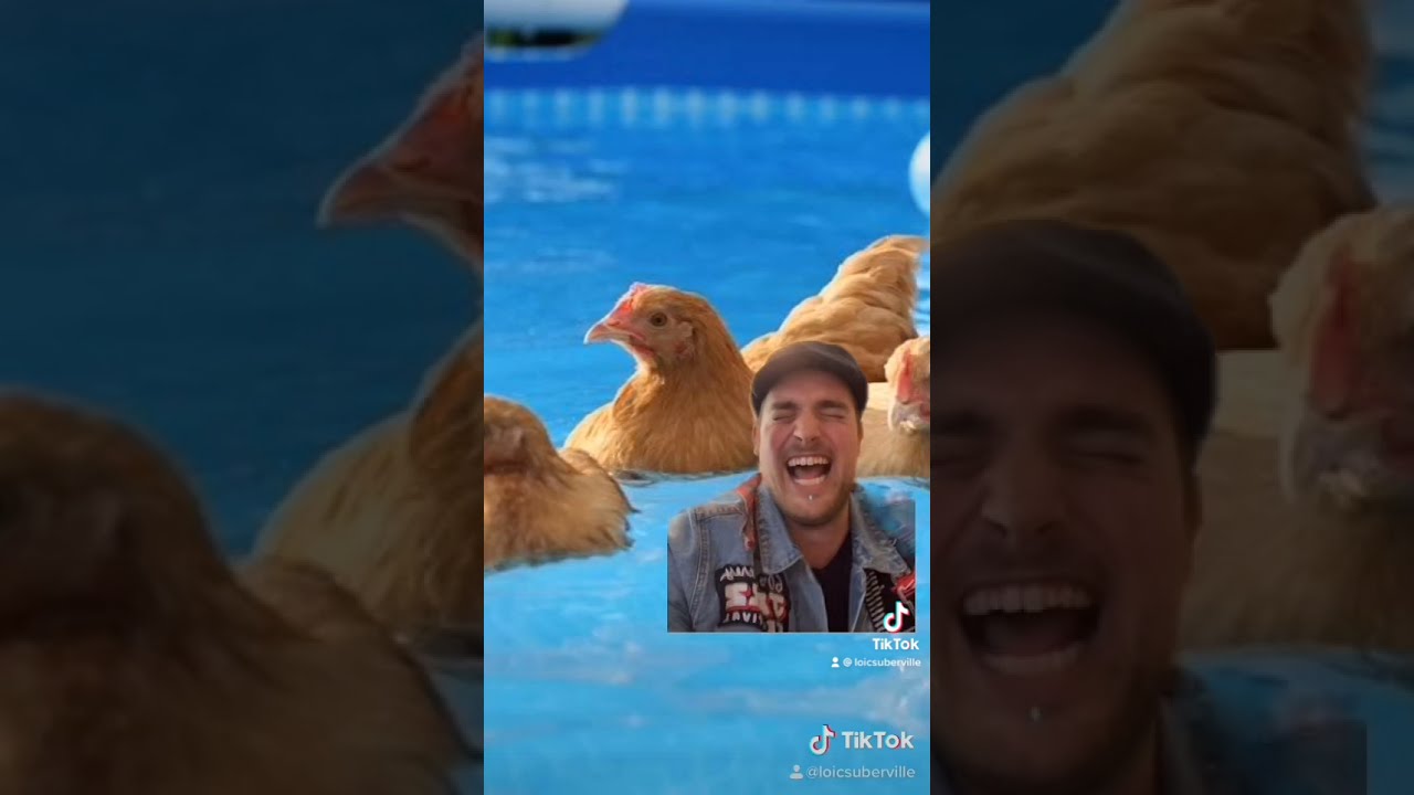 A Swimming Poule Youtube