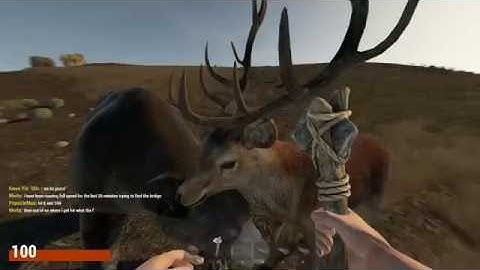 Old Stone Hatchet Model