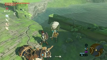 How did I do this korok puzzle first try?!