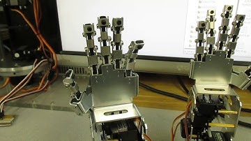 Raspberry Pi+PCA9685 running 2 Hands