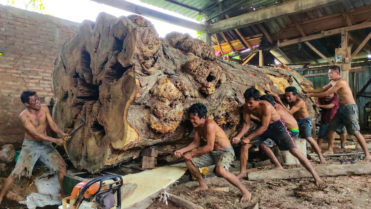 Inside a Global Wood Factory – High End Hardwood Processing