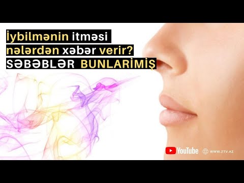 Video: Dequstasiya və Turinq üçün Ən Yaxşı Woodinville Şərabçılıq Zavodları