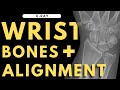 Wrist bones and alignment  radiology anatomy part 1 prep  wrist xray interpretation