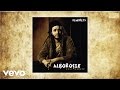 Alborosie - Diversity (audio)