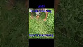 Angkat Ikan Tawesshorts