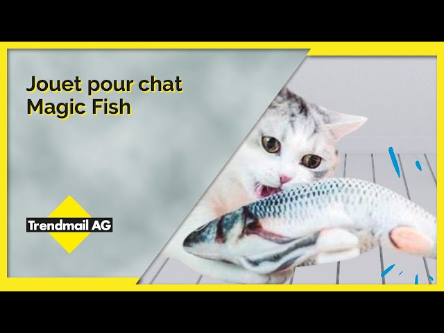 Les chats ont besoin de bouger – Jouet pour chat Magic Fish 