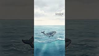 The Whale That Nobody Could Hear