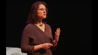 Why do we have to go to school, really?  | Suzana Herculano-Houzel, Ph.D. | TEDxNashville