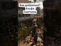 Как добраться до Альфа Скитальца?  Of Ash and Steel #ofashandsteel #игры #гайд #советы #games