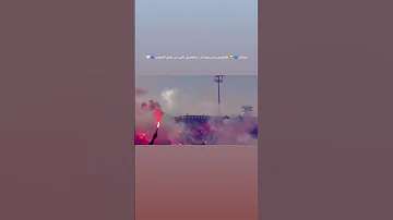 رويسات شامبيوني 
