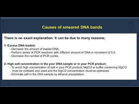 Causes of the smeared DNA bands after Gel electrophoresis and recommendations to avoid it