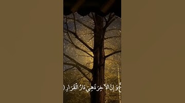 Quran | تلاوات قران كريم خاشعة تهز القلوب | أجمل أصوات القراء #اكسبلور  #قرآن #تلاوة_خاشعة #الله