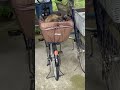 自転車のカバーと一体化してるw