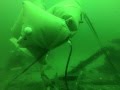 How to shoot a 2,000lb lift bag: Raising the anchor crossmember of the Oregon shipwreck