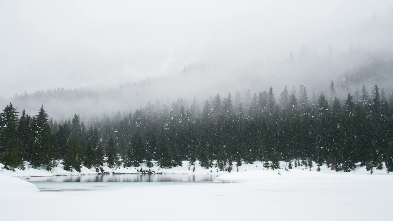 Playlist l 그날 내린 눈은 오랫동안 녹지 않았다