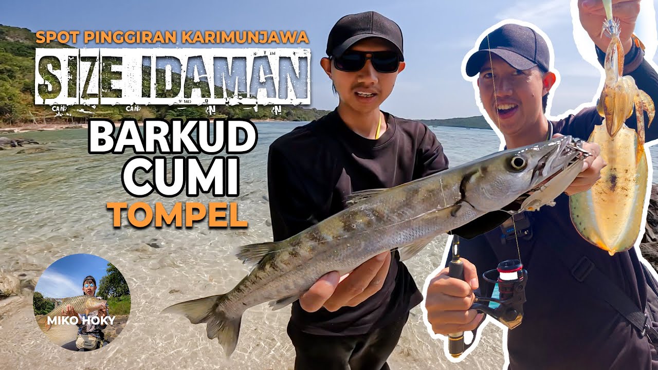 Barakudanya Size Layak Tarik Spot Mancing Karimunjawa Pinggiran Dapat Cumi dan Tompel Juga