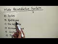 Male Reproductive System | Chapter 8 | Class 10 | Science | How do Organism Reproduce