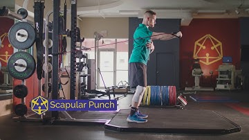 Scapular Punch - Tensegrity Exercise Library