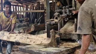 Pro Sawmill Secrets: High-Speed ​​Precision Cutting of Whole Logs!