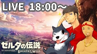 【4.19生放送 ゼルダの伝説】いきなりラスボスに殴り込み！？【ゼルダの伝説 ブレスオブザワイルド】