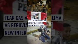 Peruvians protest new interim president