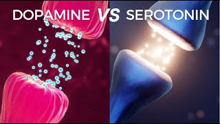 Serotonin Vs Dopamine - Everything Under 10 minutes