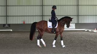 Shannon Dueck – Advanced Lateral Work