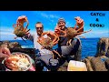 Giant SPIDER CRAB - Catch Clean Cook ! Crab Wheeling for SPIDER CRAB