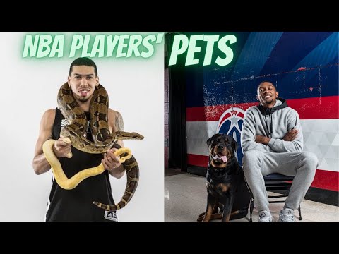 Video: Športové Pet mená: Psí mená po basketbalových hráčov