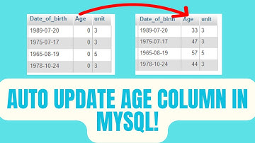 How to auto update age column in mysql | VB.Net Tutorials