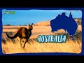 AUSTRALIA SALVAJE: Sorpréndete con sus animales únicos.