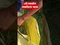 নতুন কাম আৰম্ভ হব #shortsvideo #ytshorts #viralreels #funny