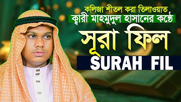 105 Surah Al Fil Chapter of the Elephant سورة الفيل Qari Mahmudul Hasan