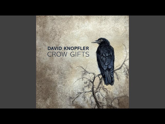 David Knopfler - I Could Write a Love Song