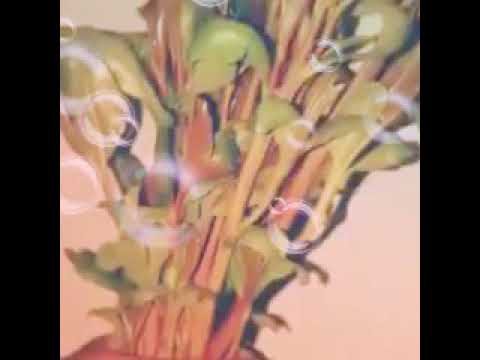 انت كنت فين لما زمان احتجت لك