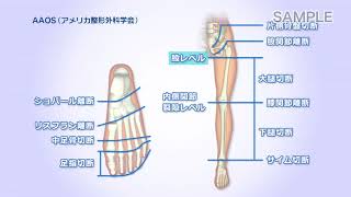 下肢からある身体の機能改善法 2 DVDセット Amazon.co.jp: 回復期 脳卒中片麻痺患者の姿勢制御と体幹の