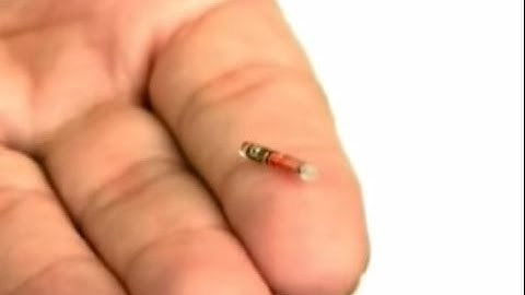 How Does a Dog Microchip Work?