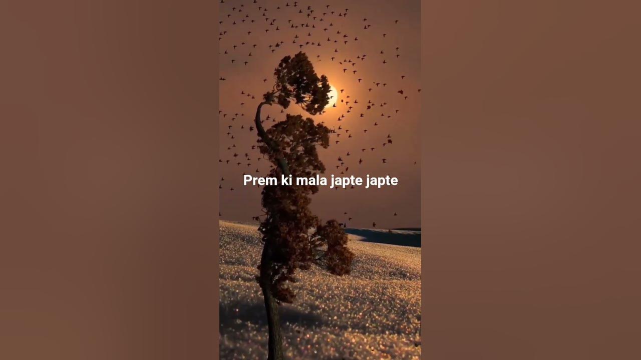 sason ki mala 💔😔🕊️ #music #song #aesthetic #love #lyrics