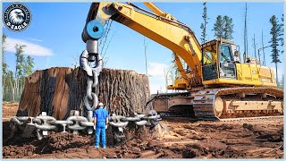 65 Incredible Biggest Stump Removal Excavators Combined with Chainsaw Machine at Another Level