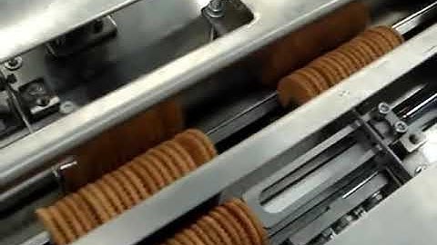 On Edge Biscuit Packing Machines with Auto Feeder