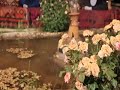 باران بارانە سوڵتان عەباس نیا