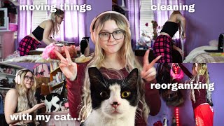 Room RESET: Cleaning & Organizing with my Funny Cat!