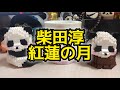 柴田淳:紅蓮の月【歌ってみた】 #cover #歌ってみた #外国人