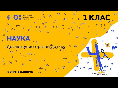 1 клас. Наука. Досліджуємо органи дотику (Тиж.5:ЧТ)