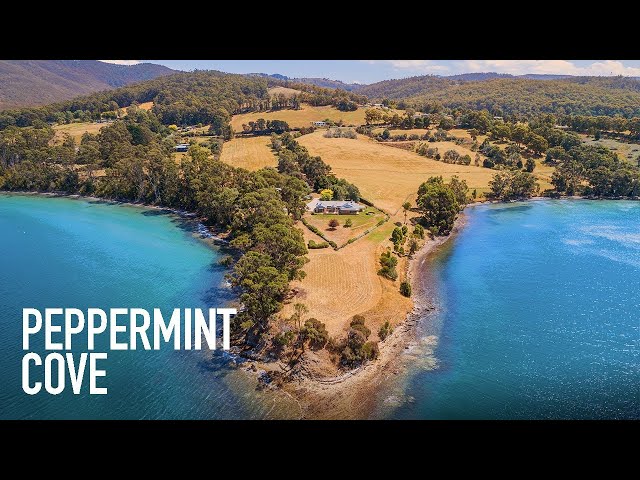 Nick Bond Presents Peppermint Cove class=