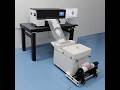 New VT-D302 -Double F1080-A1 (XP600) head desktop A3 DTF printer