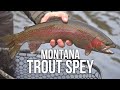 Big trout in montana  what the heck is trout spey