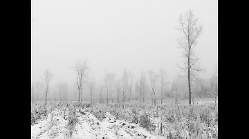 Code 701 - Spiro [WR022]