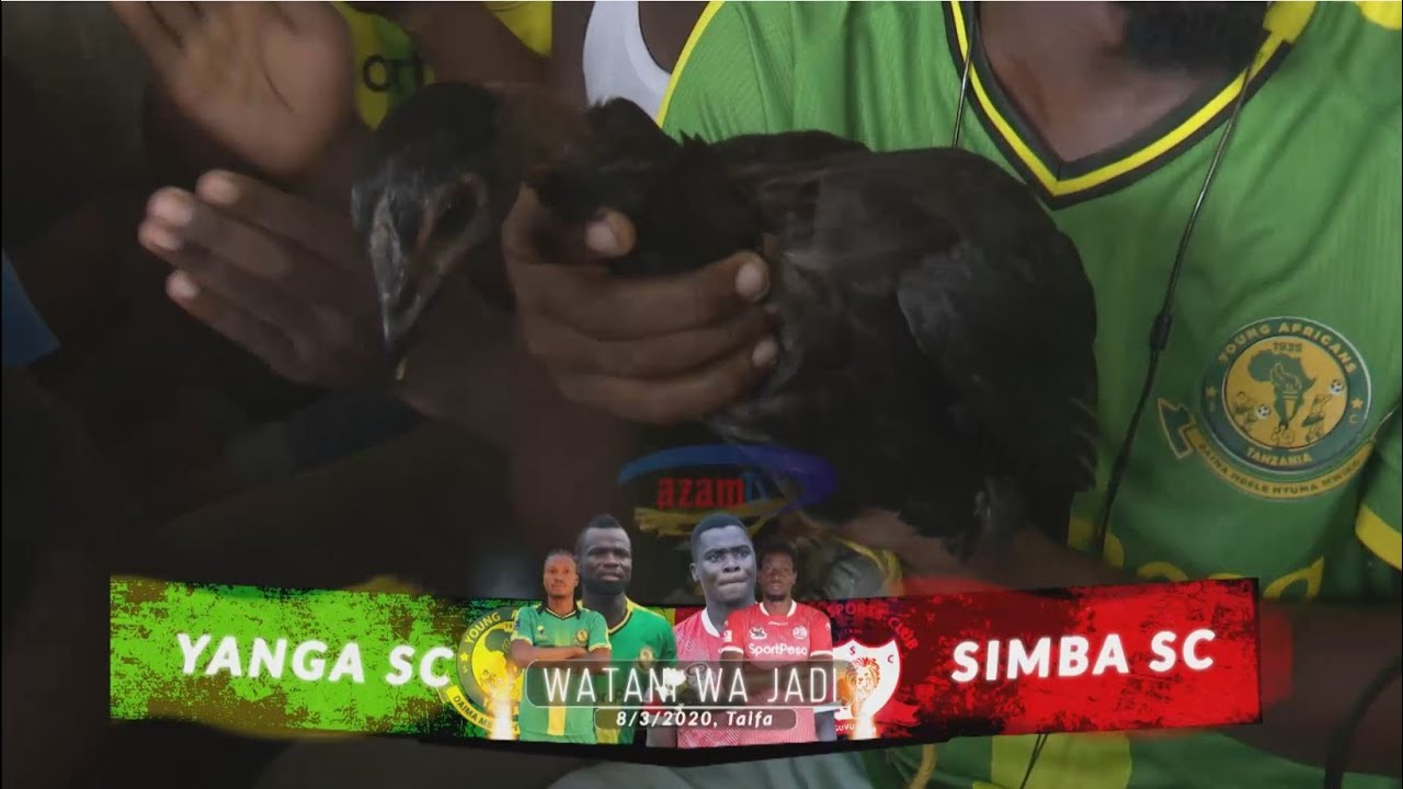 Mashabiki wa Yanga wabeba 'kuku kishingo' wakitambiana na Simba ...