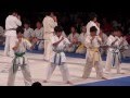 白蓮実戦の型
